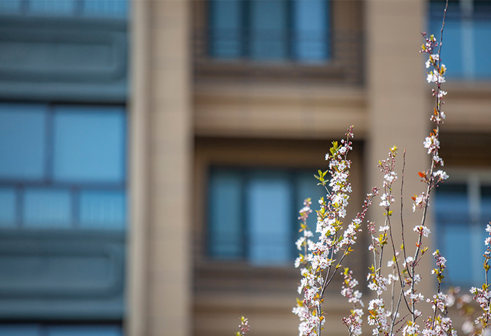 公祺社区鹤鸣轩
