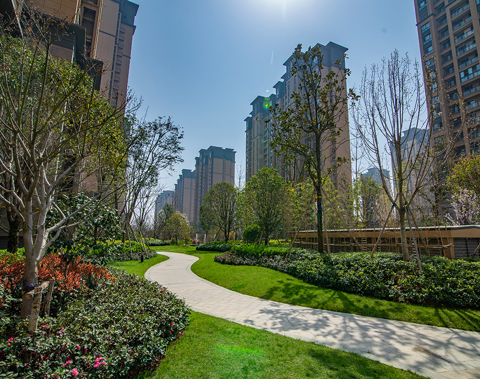 子云社区泰壹轩